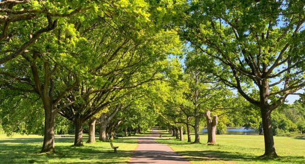 Over 365 acres of green space to explore in Southampton